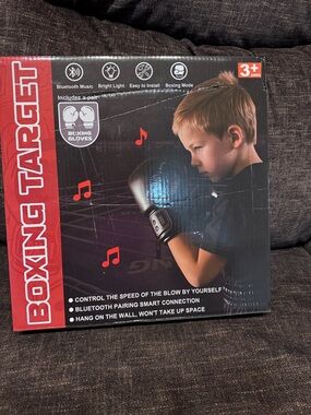 Boxing target Strike Pad Electronic Bluetooth Music, Gloves, Wall Mount, Type-C